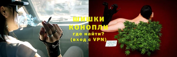 стаф Горняк