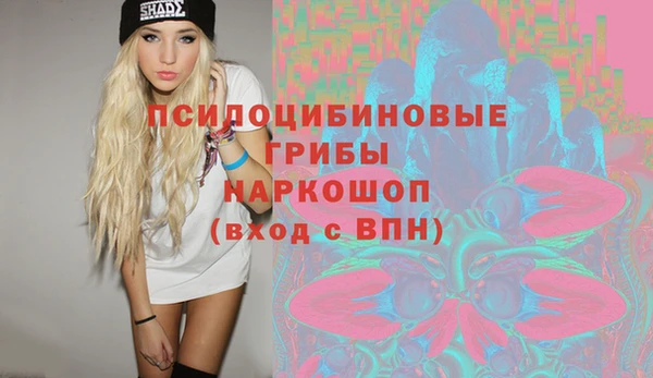 стаф Горняк