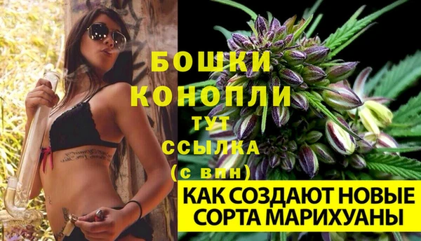 бошки Горнозаводск