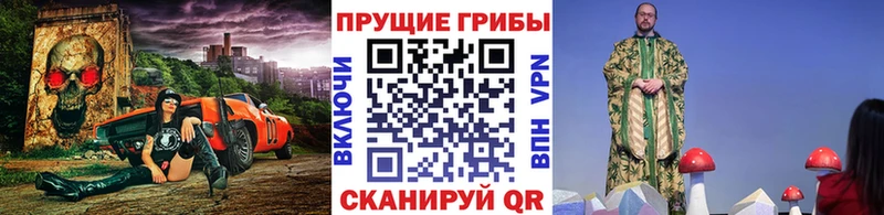 Купить закладки  Кодинск  Галлюциногенные грибы GOLDEN TEACHER 